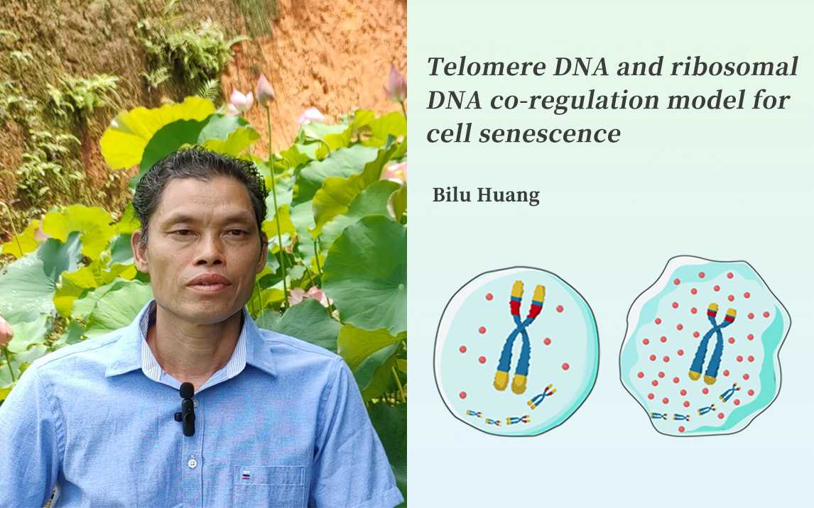 Cellular Aging Research