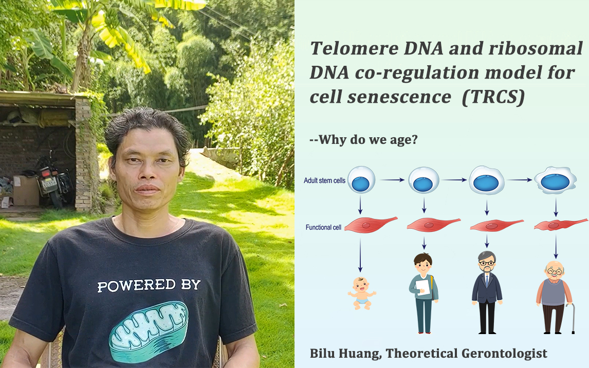 Cellular Aging Research