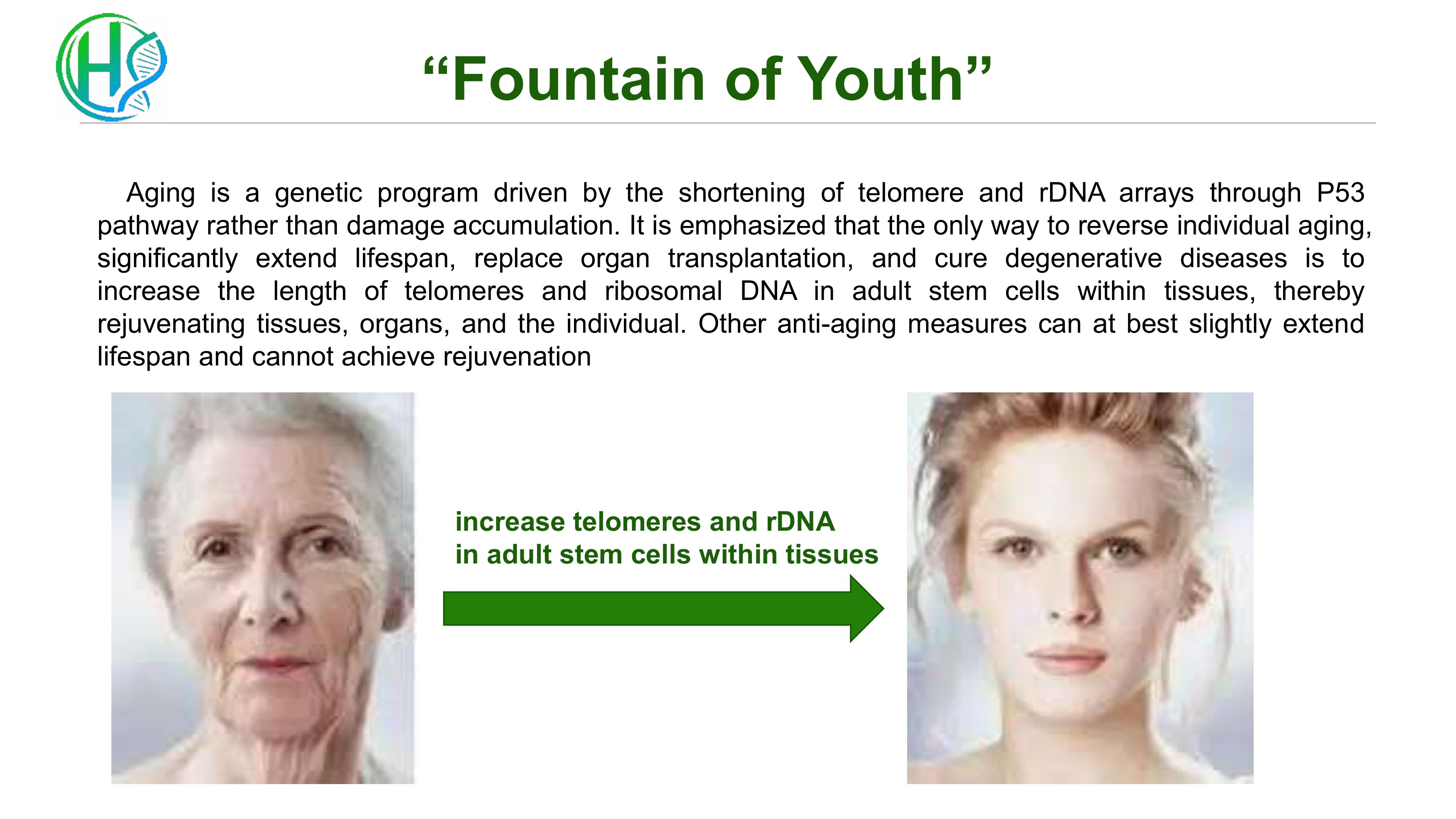 Cellular Rejuvenation Research